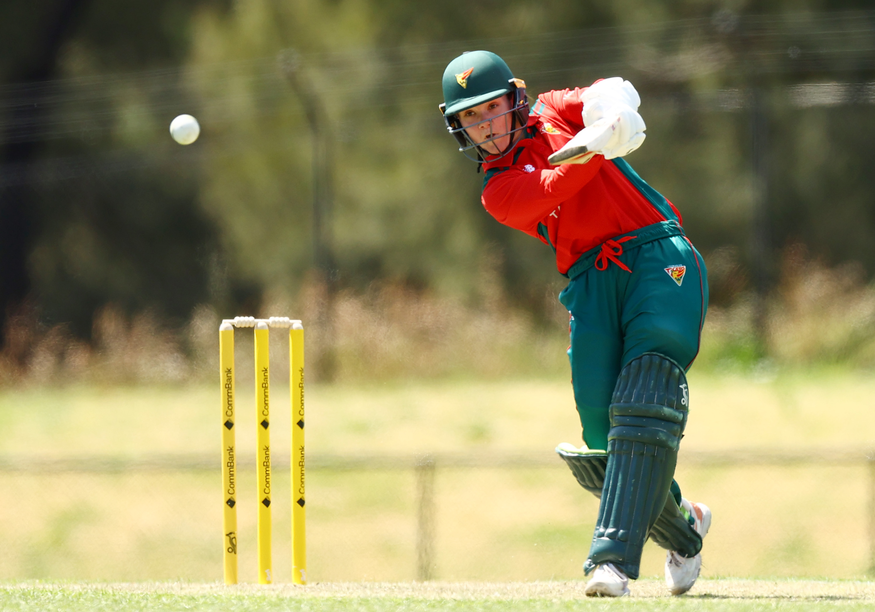 Tigers Female Second XI makes it return Cricket Tasmania