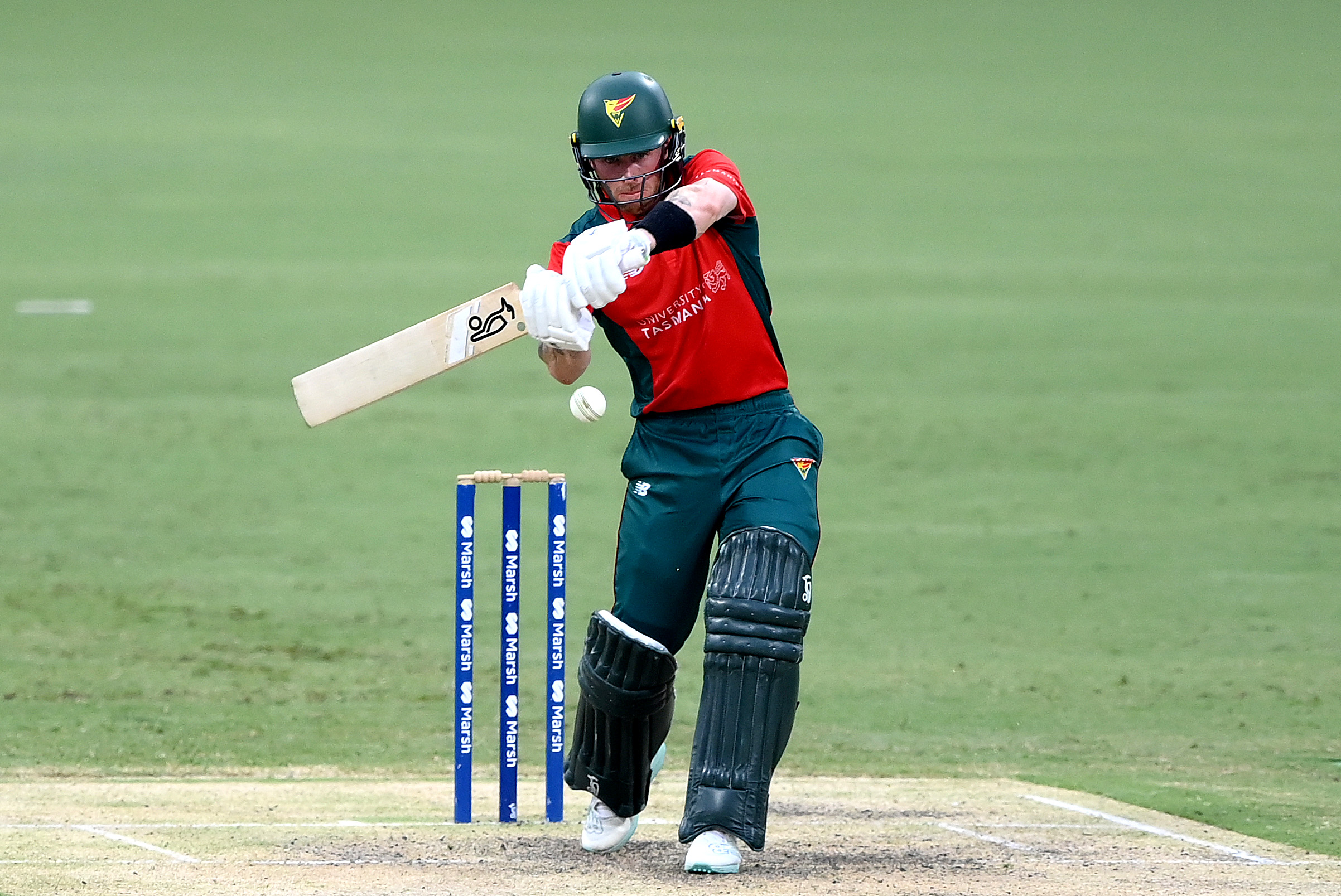 Lush Tasmanian Tigers Squad Release One-day Cup Vs New South Wales Photo Collection Lush Tasmanian Tigers Squad Release One-day Cup Vs New South Wales Photo Collection