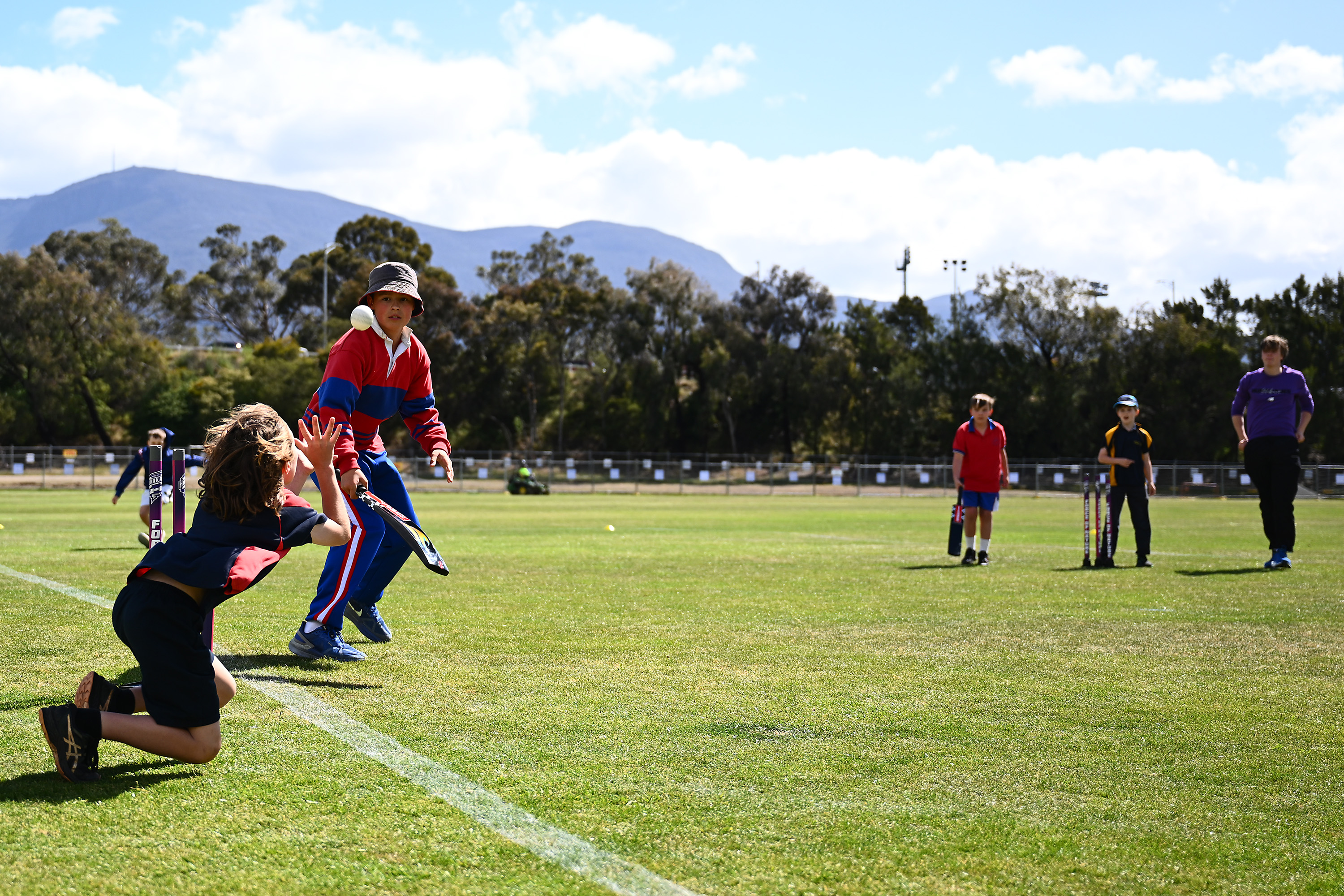 Term 1 Cricket Programs: Pick a location and program that works for you ...